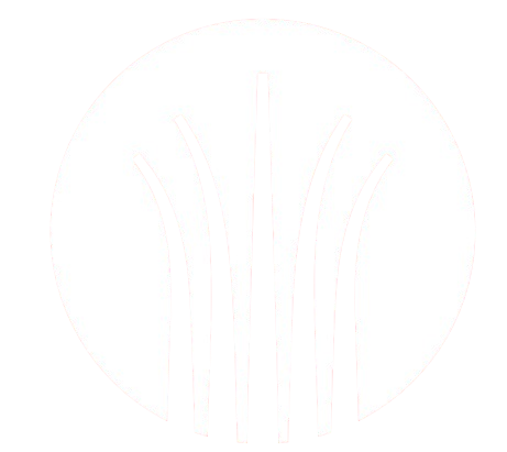 Captura_de_pantalla_2025-10-27_190325-removebg-preview